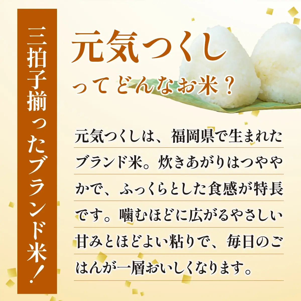 【定期便：６ケ月】令和７年産 福岡県産米 元気つくし 10kg 精米 CY012sub6