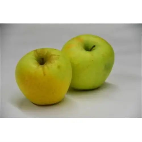 青森県産りんご 3kg(1箱※7～12個入り)【1672875】