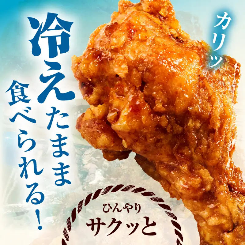 冷やし手羽元唐揚げ1kg（500g×2袋）_kn060-008