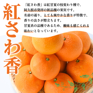 ＜先行予約受付中！2027年2月上旬以降順次発送予定＞訳あり 紅さわ香(約20kg) 国産 鹿児島県 阿久根市 果実 果物 フルーツ 柑橘 みかん ミカン 紅甘夏 期間限定 数量限定 【桐野柑橘株式会社】akn070-19