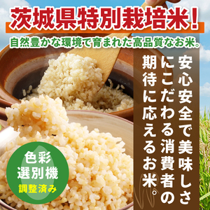 【3ヶ月定期便】令和7年産 茨城県特別栽培米コシヒカリ ネオニコフリー玄米5kg｜米 おこめ こしひかり 農家直送 直送 茨城県 阿見町（04-31）