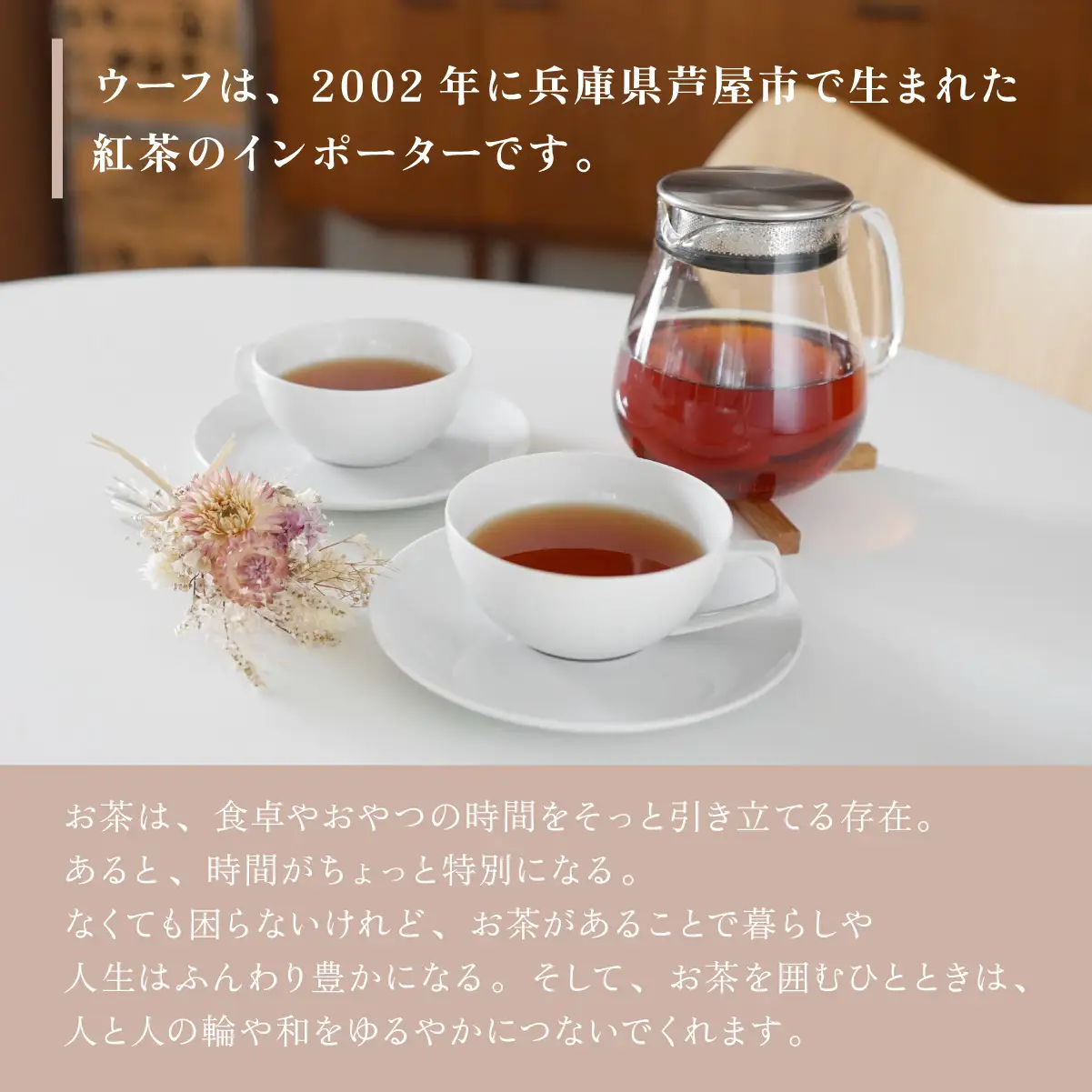 定番人気 ティーバッグ3種 缶入りギフトセット【Uf-fu ウーフ】