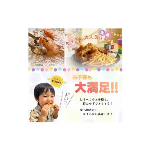 北海道産鶏肉を使ったチキンバー【北のやみつきチキンバー】500g [a136-005]
