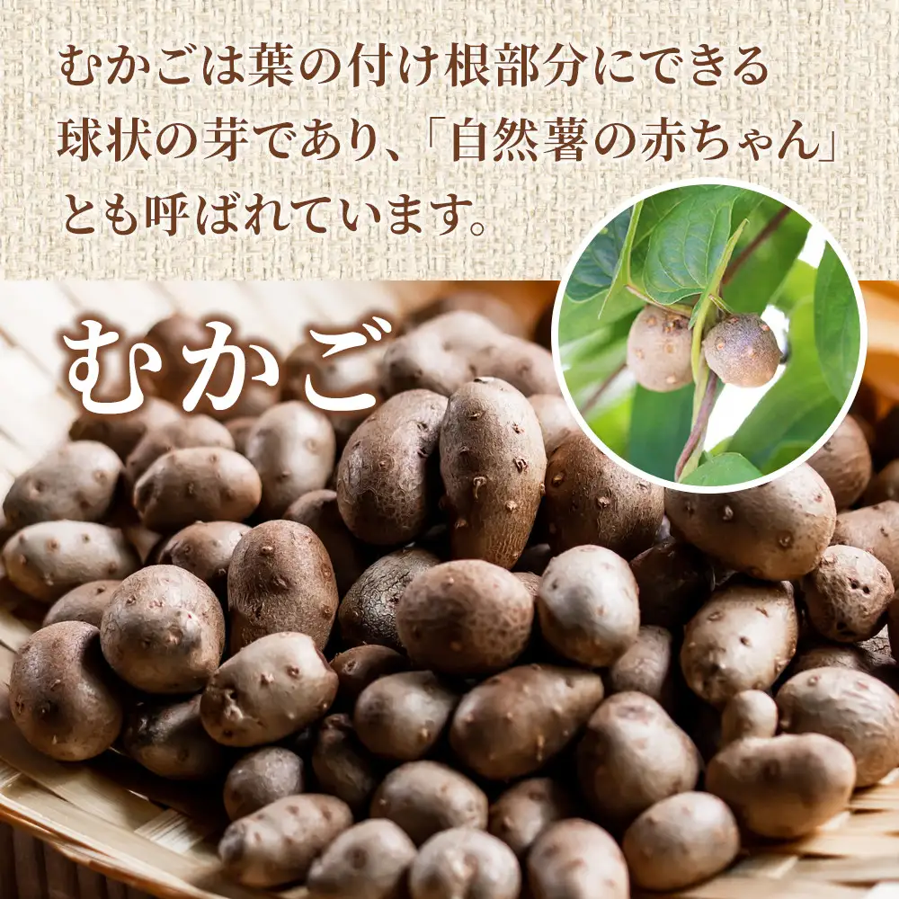 むかご入り自然薯コロッケ5個セット｜惣菜 山芋コロッケ 人気 おすすめ 冷凍 お弁当 おかず 和風 揚げ物 時短 おすすめ 人気 送料無料 神奈川県 小田原市