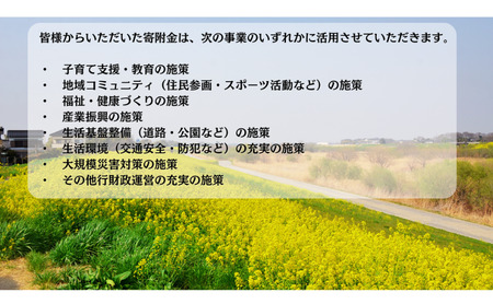【返礼品なし】埼玉県松伏町への応援寄付2,000円