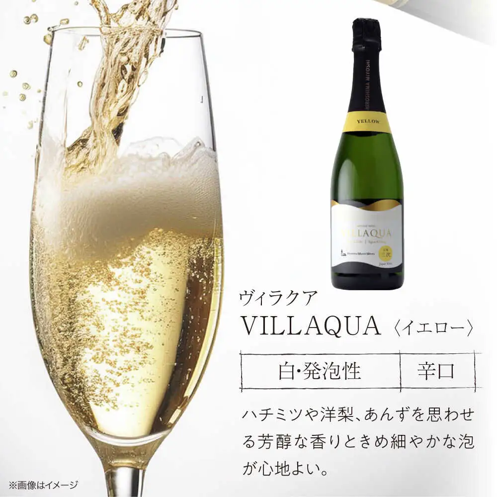 ワイン VILLAQUA イエロー・グリーン [APAZ155] スパークリングワイン セット