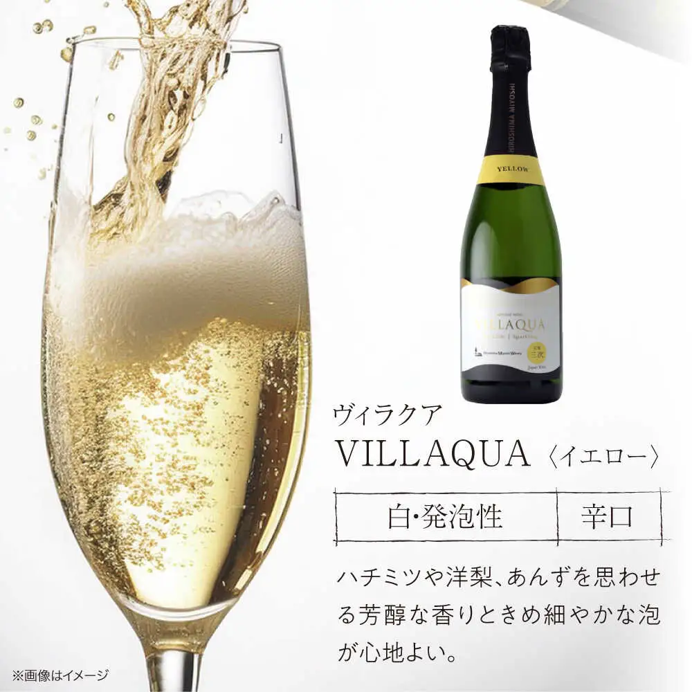 ワイン VILLAQUA 3種 [APAZ157] スパークリングワイン セット