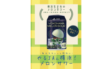やるJAん横浜メロンサワー 350ml×24本 ARM0001