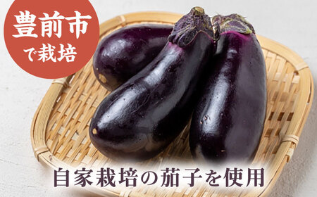 爽やかな辛さ！特製辛子なす 200g×3 [VBE015]辛子なす