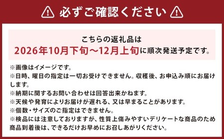 【先行受付】北海道産 情熱じゃが芋（北あかり） Lサイズ 計約5kg 株式会社マルエイ商事 じゃがいも じゃが芋 ジャガイモ 芋 いも イモ 国産【2026年10月下旬～2026年12月上旬迄発送予定】