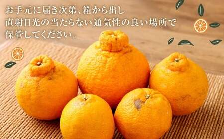 【訳あり】 ご家庭用 濃厚不知火 10～20玉 （ 約4kg ） デコポン みかん 柑橘 果物 フルーツ 熊本 【2027年2月下旬-3月上旬発送予定】