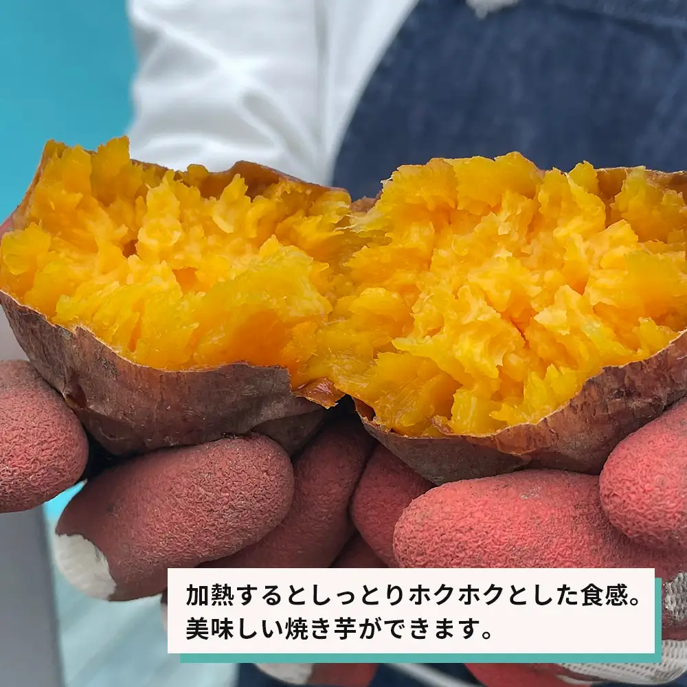 【産地直送】安納芋（淡路島産）土付き　約5kg　不揃い【栽培期間中、農薬・化学肥料不使用】さつまいも