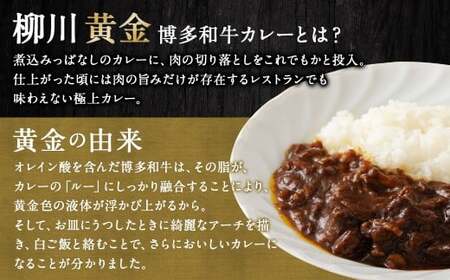 【TVで話題】柳川黄金博多和牛カレー （6箱） カレー レトルト