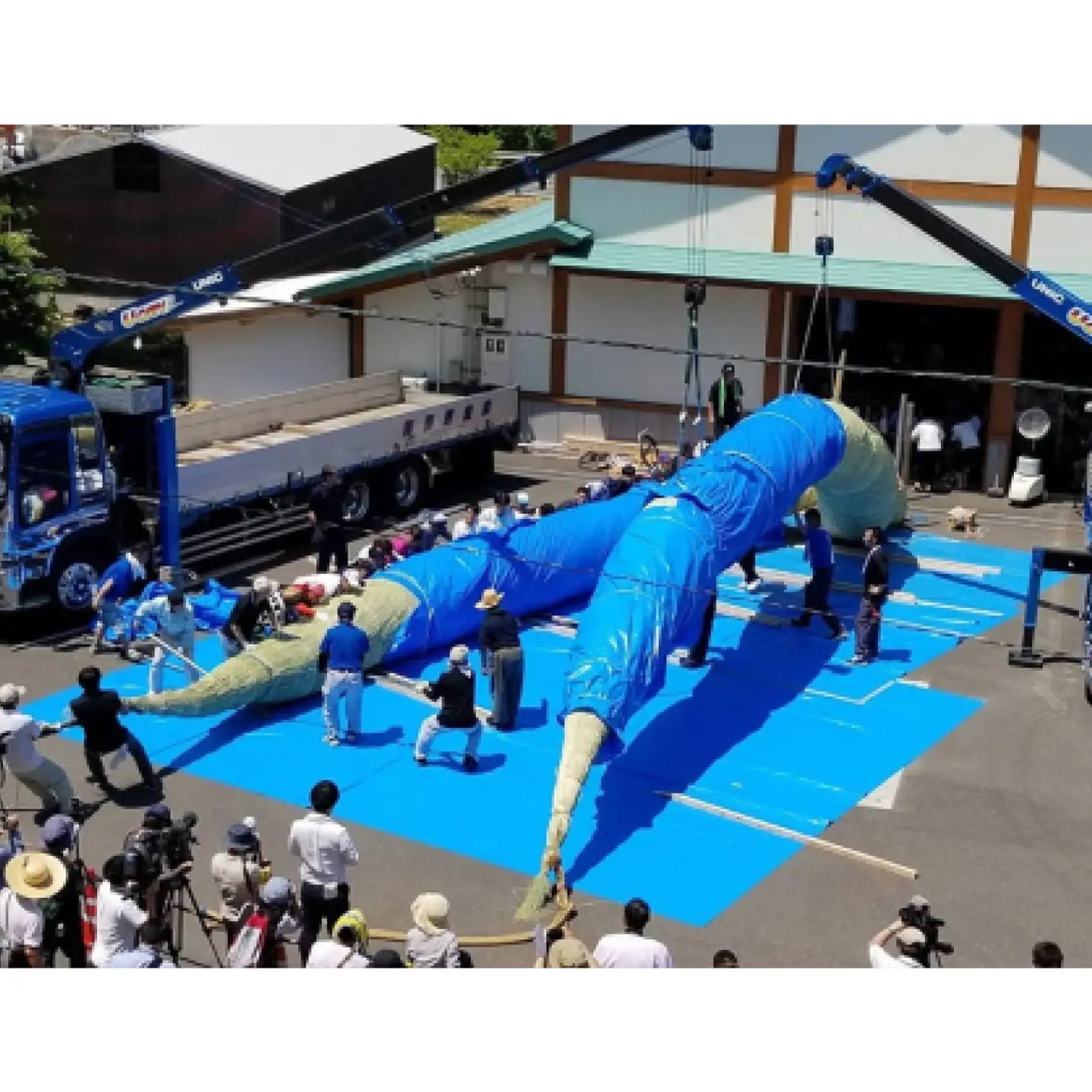 しめ縄（大黒じめ）【 お正月 飾り 職人 手作り 注連縄 出雲大社 大注連縄 大しめ縄 伝統  Ｄ-22】