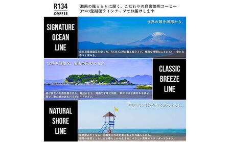 コーヒーセット R134NaturalShoreLine コーヒーセット【100g粉×2種】【定期便】