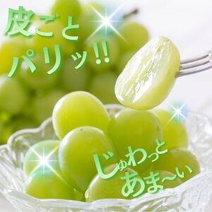 ぶどう 【先行予約 令和8年分】シャインマスカット 約1kg [BRBI004]