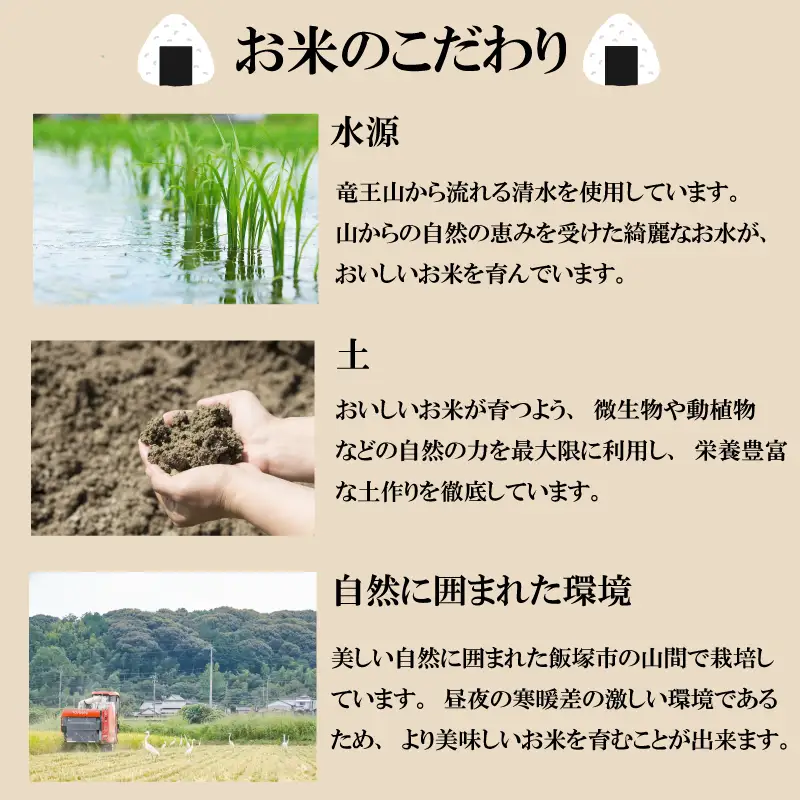 【令和8年産先行予約！2026年10月上旬以降発送 】 夢つくし 5kg |米 FRF