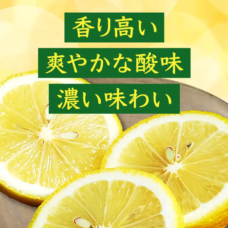 レモン 京都潮風檸檬（R） 2kg（16個前後） 栽培期間中農薬不使用 れもん