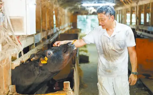 【冷凍】武藤牧場直売店山嘉【黒毛和牛】山嘉牛 すきやき 約710g 冷凍 国産 牛肉 赤身 極上ロース モモ ウデ ミックス 上質 贈答 ギフト おすすめ グルメ