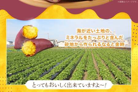 大人気！ さつまいも  なると金時 5kg