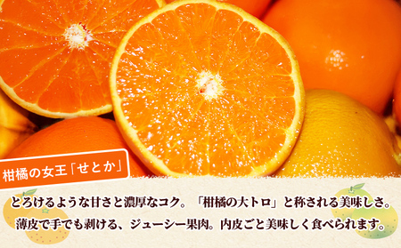 ＜秀品 せとか 約5kg＞蜜柑 ミカン みかん 果物 フルーツ 柑橘 柑橘の女王 果汁 ジューシー 国産 愛媛県産 西予市産 ギフト 贈答用 高級柑橘 特産品 丸二青果 愛媛県 西予市【常温】『2026年2月頃に順次出荷予定』MMY0007