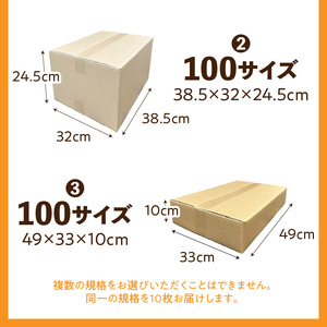 梱包用段ボール 100サイズ 10枚  梱包用 段ボール セット 選べる サイズ 規格 コンパクト 扱いやすい 段ボール箱 梱包 衣類 収納 片付け 整理 DIY 工作 荷物 引っ越し 防災 備蓄 便利 フリマ 通販 配送 荷造り お取り寄せ 愛知県 小牧市 送料無料 [206A02]