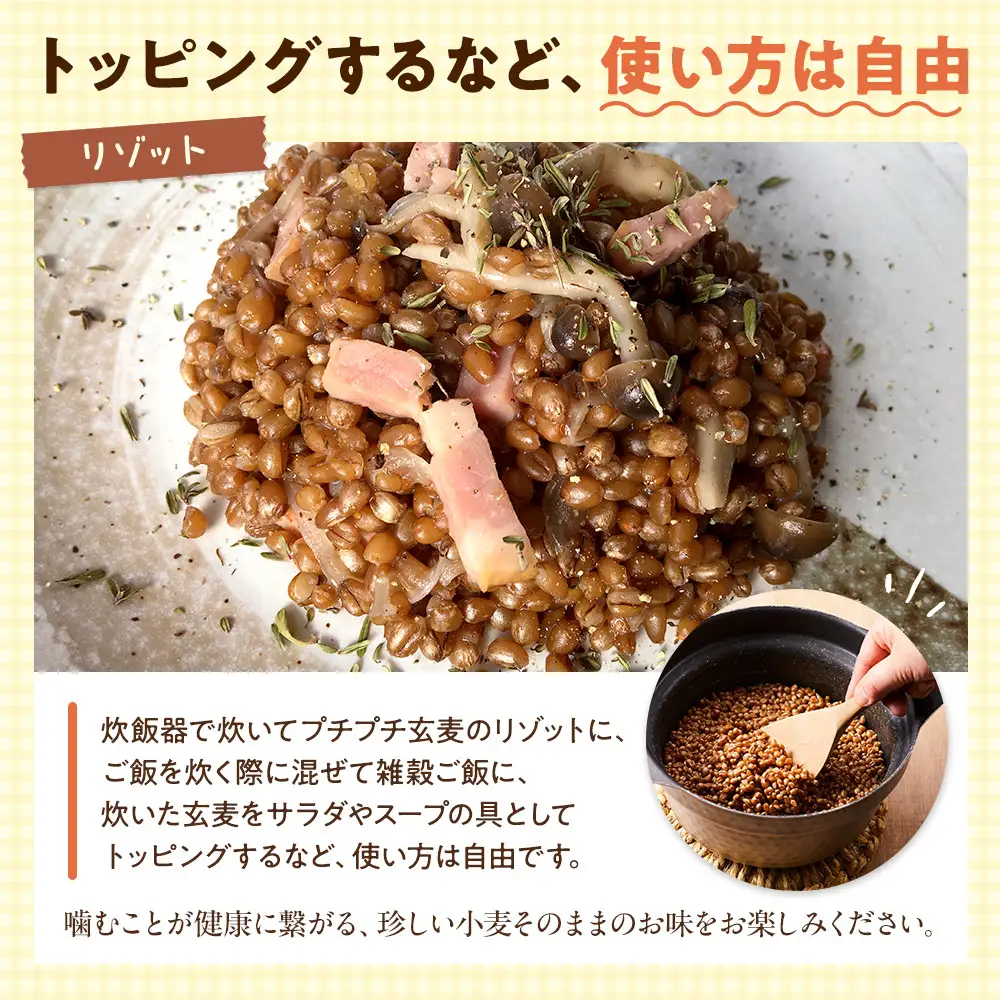 【信濃大町循環ブランド】自然栽培あけぼのもち小麦玄麦２袋セット