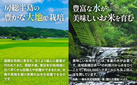 【12ヶ月定期便】千葉ふるさと米 5kg《お申込みの翌月から出荷》ブレンド米