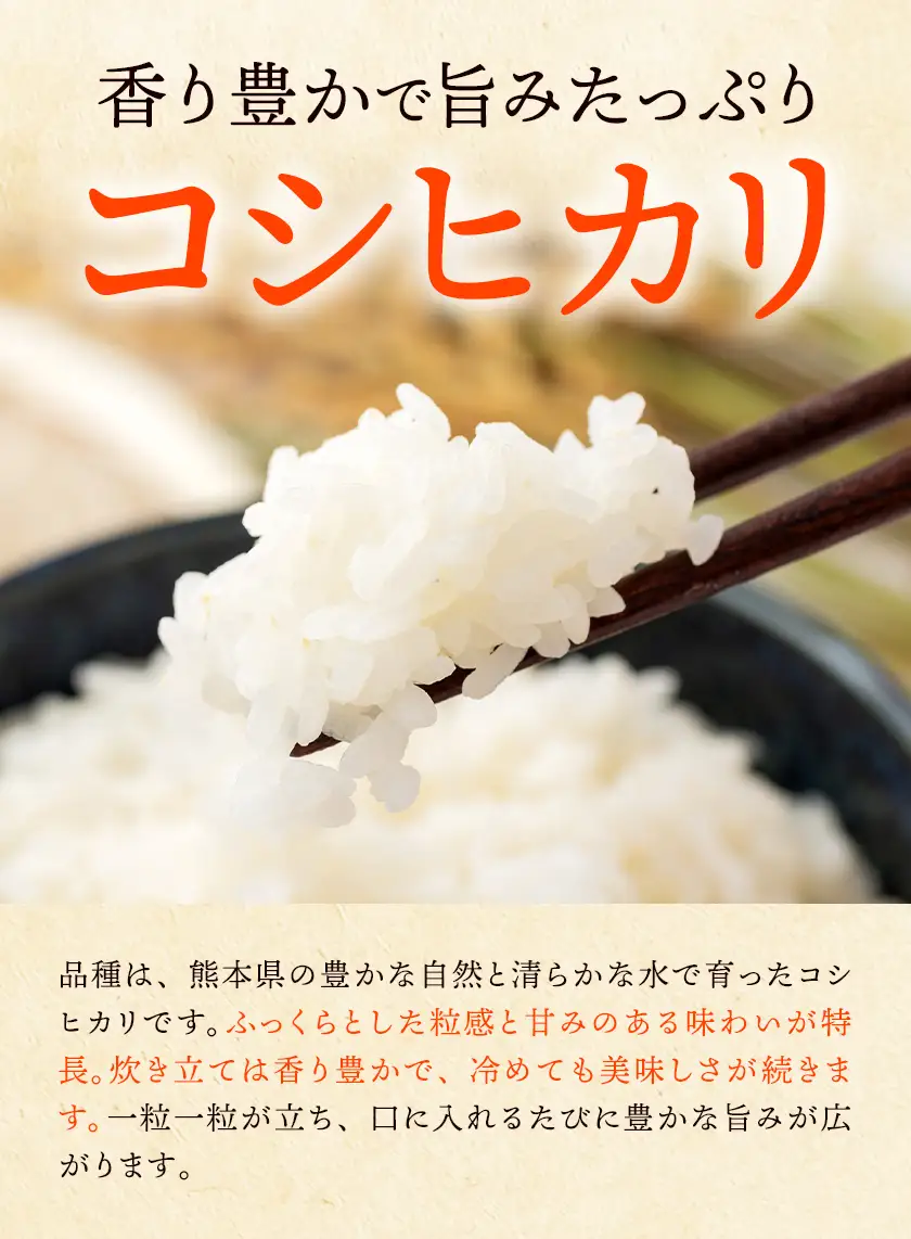 新米 令和8年産 コシヒカリ 5kg 米