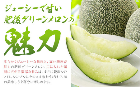 肥後グリーンメロン 約2-2.4kg×2玉【養生市場】 有限会社七城町特産品センター熊本県 菊池市 メロン グリーンメロン 果物 フルーツ 熊本県産 送料無料