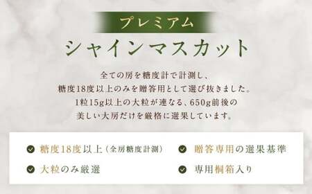 【贈答用】福岡県産 シャインマスカット 糖度18度以上・大粒15g以上 桐箱入り 650g前後（1房）／冷蔵 当日発送【2026年8月上旬?9月上旬発送予定】 葡萄 ぶどう ブドウ マスカット 果物 フルーツ 国産
