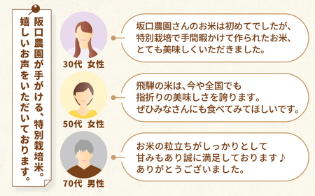 新米 2種食べ比べ 各2kg(計4kg)  / 米 ゆうだい こしひかり 米 阪口農園