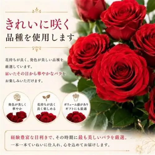 2月発送!同級生コンビでお届けする赤バラのブーケとおいしいお米(精米)のセット・栄養剤付き!【1707223】