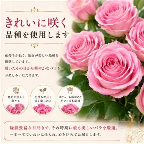 6月発送!同級生コンビでお届けするピンクバラのブーケとおいしいお米(精米)のセット・栄養剤付き!【1708205】