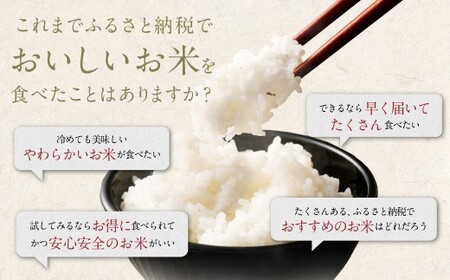 【3回定期便】 筑後の実り 5kg×3回  定期便 米 白米 ブレンド ご飯 国産 贈り物 定期便 福岡県 筑後市