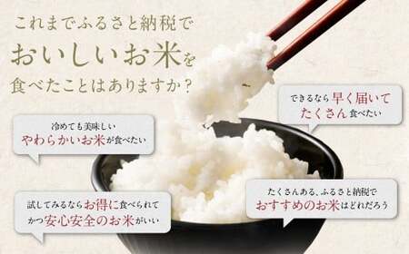 【3回定期便】 筑後の実り 10kg×3回 定期便 米 白米 ブレンド ご飯 国産 贈り物 定期便 福岡県 筑後市