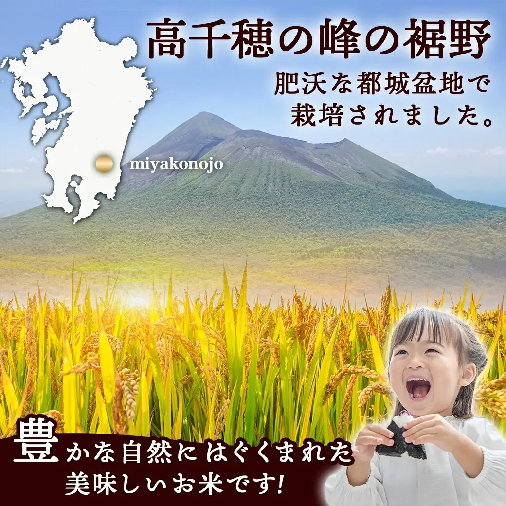 都城産ひのひかり5kg(5kg×1袋)〔AA-15-005-5kg〕_(都城市) 令和7年産 都城産 お米 5kg ひのひかり
