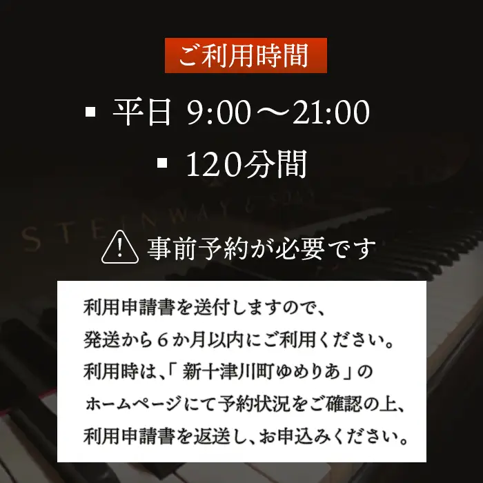 スタインウェイピアノ試弾券（120分）　※平日限定（午前９時～午後９時）【2100101】