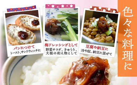 江戸時代から続く伝統の味「甘露梅肉」 6箱 [B-005007]　伝統 お土産