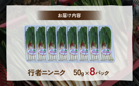 【2027年2月上旬～3月上旬迄発送予定】行者ニンニク 50g×8パック　北海道 豊浦町産 アイヌネギ ヒトビロ キトビロ TYUK004