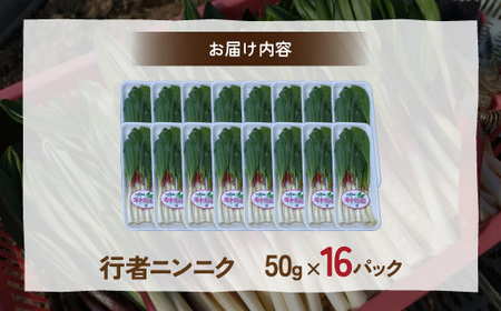 【2027年2月上旬～3月上旬迄発送予定】行者ニンニク 50g×16パック　北海道 豊浦町産 アイヌネギ ヒトビロ キトビロ TYUK006
