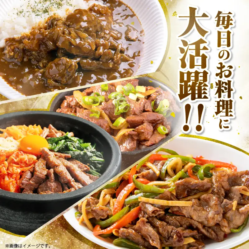 数量限定 訳あり 宮崎県産 黒毛和牛 焼肉用 切り落とし 計500g_BB164-25