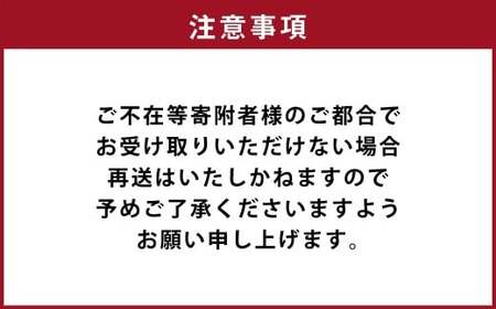 カラダ想いのスパイスカレープラスワン（カレー4種×2回、カレー２種ときのこご飯の素１種2袋×1回）毎月【3回定期便】 きのポックルカレー まぜてご飯 豚バラジンジャーカリー きのこスパイスカレー 薬膳ビーフカリー スープカレーベース ベジタブルカレー バターチキンカレー 薬膳ポークカリー 煮込み牛すじカレー 舞茸とホロホロチキンの薬膳カレー スパイスカレー カレー カレーライス 3回 定期便