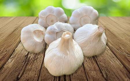 熊本県産 生にんにく 2kg 【2026年11月下旬発送開始】 にんにく ニンニク 生ニンニク 野菜 やさい 熊本県 常温