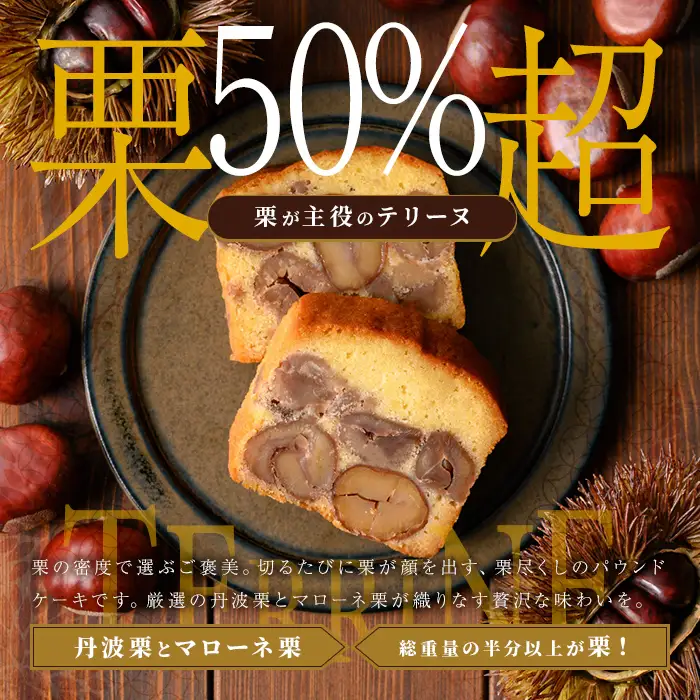 栗 テリーヌ「天」 1本 定期便 全2回 6ヶ月に1回 スイーツ お取り寄せ 足立音衛門