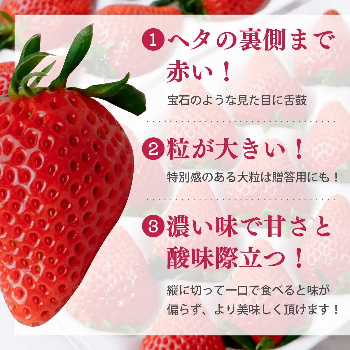 いちご 大粒完熟いちご「やよいひめ」400g