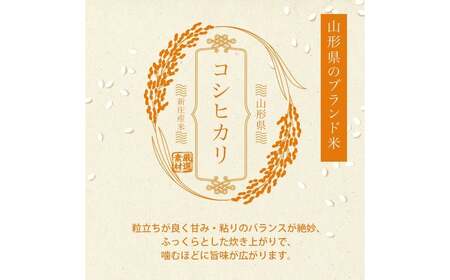 令和7年産 コシヒカリ 5kg×2 計10kg 精米 【最上ノ米蔵】 山形県産 こしひかり こめ 米 白米 F3S-2806