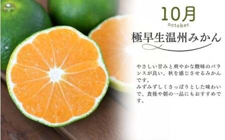 みかん 定期便 3回 計9kg 【超極早生温州・極早生温州・由良早生】みかん【nkmr-tkb0007】