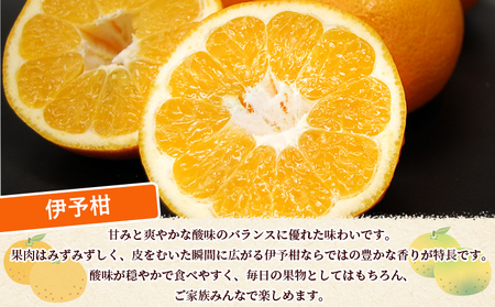 ＜秀品 伊予柑 (L～2Lサイズ) 約10kg＞蜜柑 ミカン みかん 果物 フルーツ 柑橘 いよかん 宮内伊予柑 西宇和 果汁 ジューシー 果肉 国産 愛媛県産 西予市産 ギフト 贈答用 特産品 丸二青果 愛媛県 西予市【常温】『2026年1月～3月に順次出荷予定』MMY0012