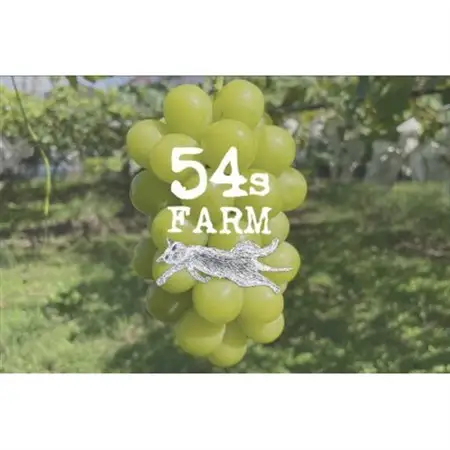54s FARM のシャインマスカット 計2房 (1.2kg以上)【9月上旬～11月上旬出荷】【配送不可地域：離島・北海道・沖縄県】【1645825】